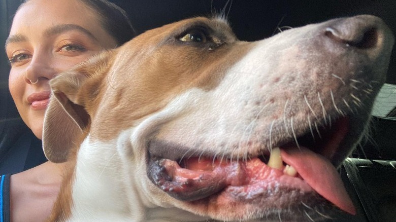 Florence Pugh posing with dog