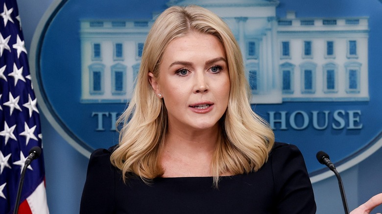 Karoline Leavitt speaks to reporters in the White House press briefing room.