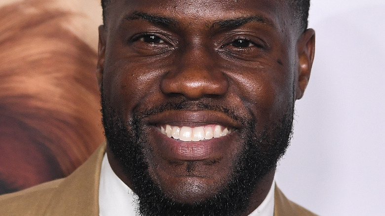 Kevin Hart at The Secret Life of Pets 2 premiere