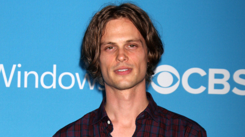 Matthew Gray Gubler smiling