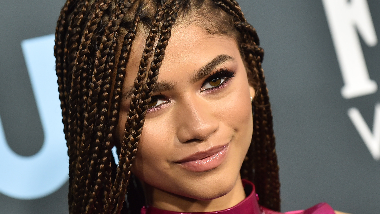 The Transformation Of Zendaya From 13 To 25 Years Old