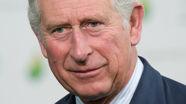 Prince Charles posing