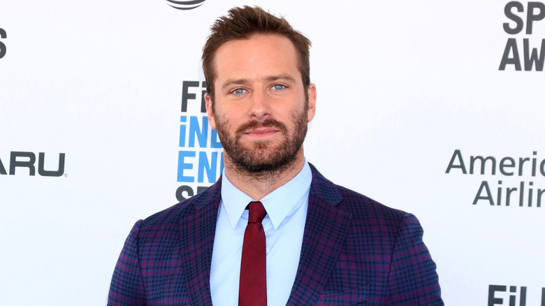 Armie Hammer posing