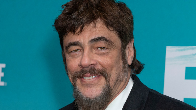 Benicio del Toro on red carpet