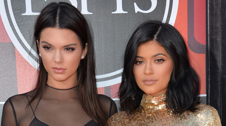 Kendall and Kylie Jenner posing 