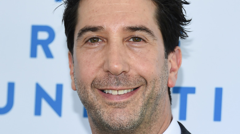 David Schwimmer smile 