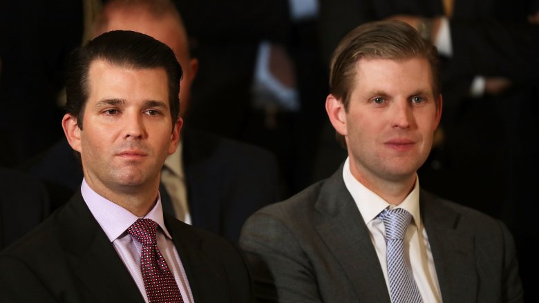 Donald Jr. and Eric Trump