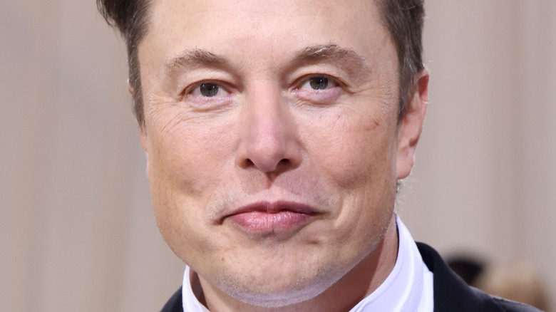 Elon Musk smirking slightly 