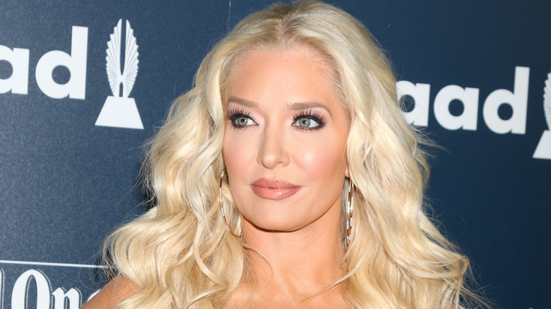 Erika Jayne posing