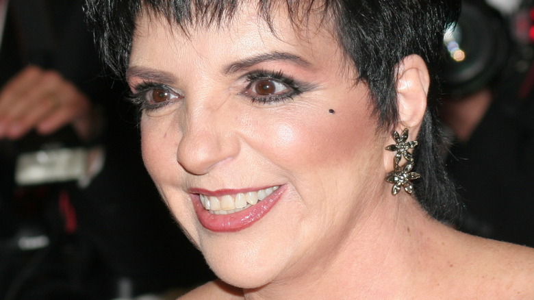 Liza Minnelli smiling on the red carpet