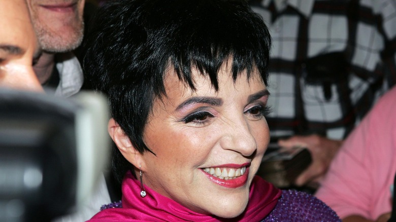 Liza Minnelli smiling and turning to the side