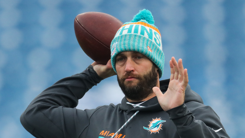 Jay Cutler dolphins quarterback
