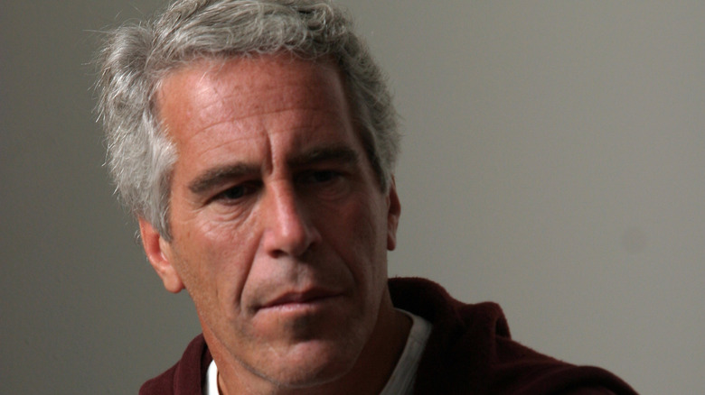 Jeffrey Epstein in hoodie