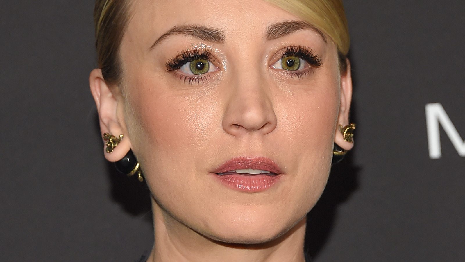 The Truth About Kaley Cuoco's ExHusband Ryan Sweeting