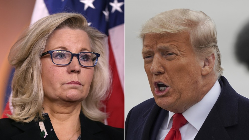 Liz Cheney and Donald Trump split image