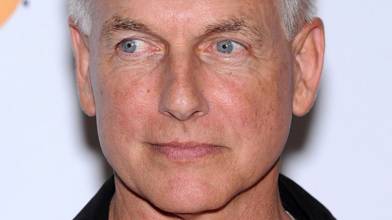 Mark Harmon poses staring to the right