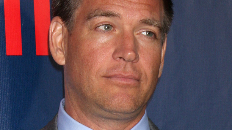 Michael Weatherly looking to the side on the red carpet at the CBS TCA July 2014 Party