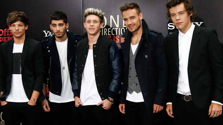 One Direction at the 'This Is Us' premiere