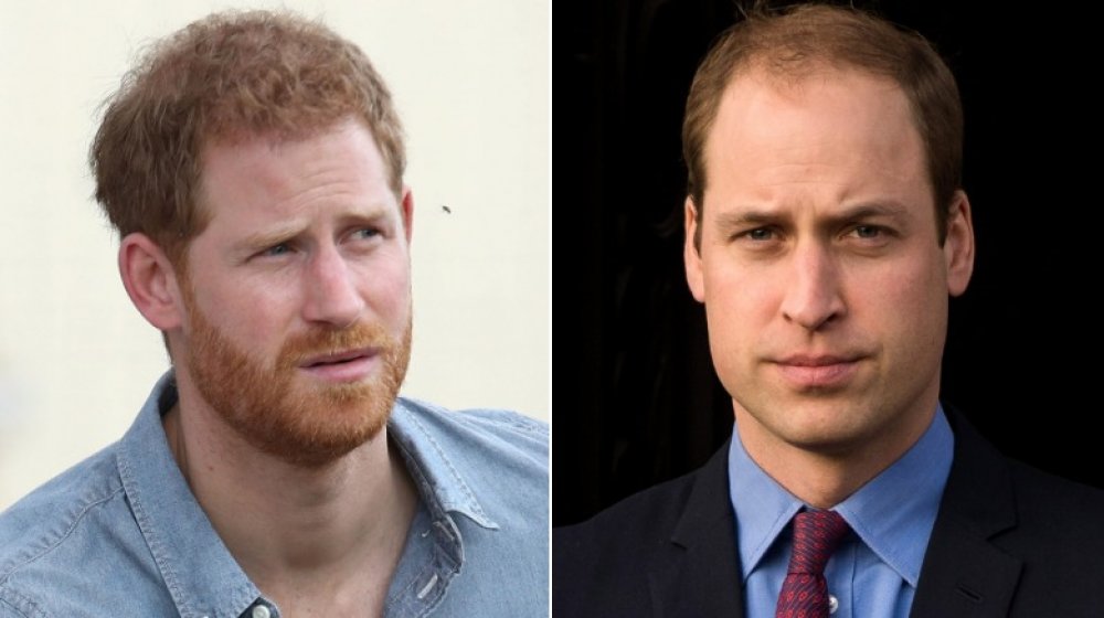 Prince Harry and Prince William