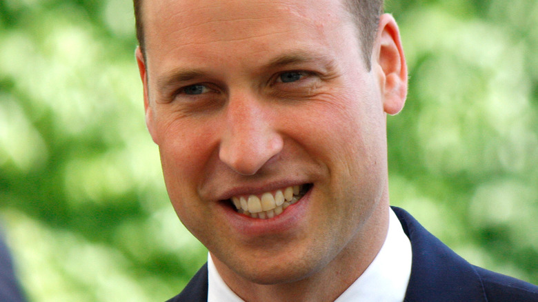 Prince William posing