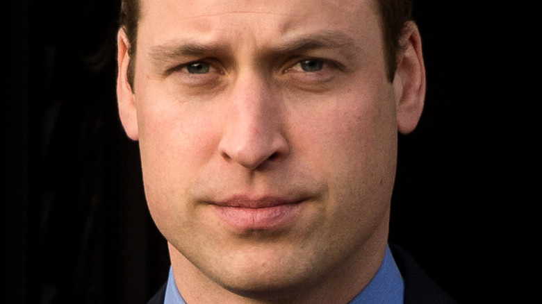 Prince William poses in a blue shirt.