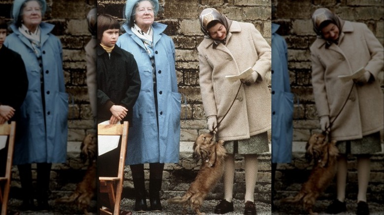 Queen Elizabeth with a dorgi