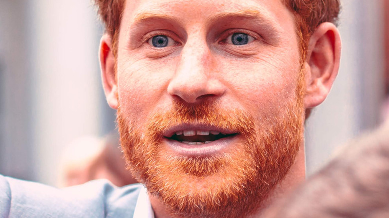 Prince Harry red beard
