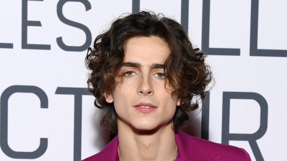 Timothee Chalamet on red carpet