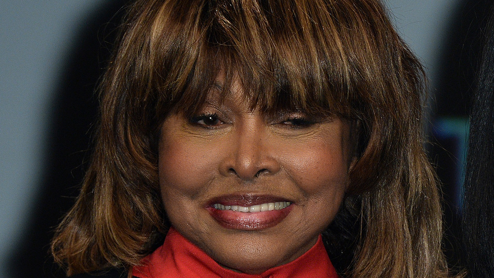 Tina Turner smiling 