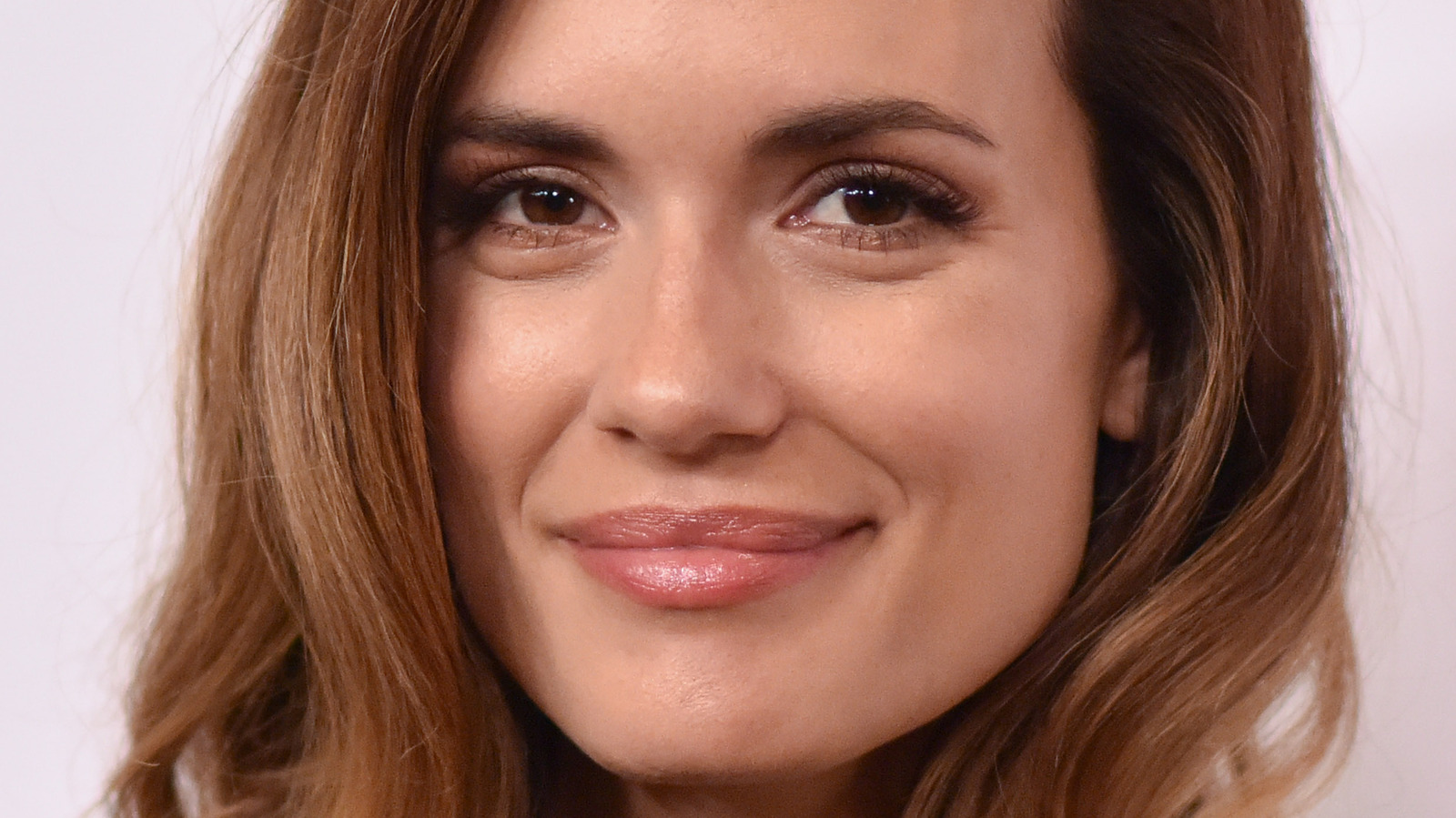 The Truth About Torrey DeVitto's Relationship With David Ross