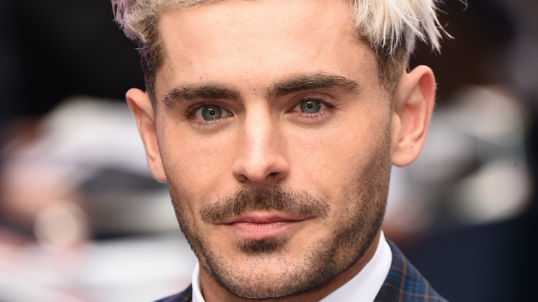 Zac Efron poses movie premiere 