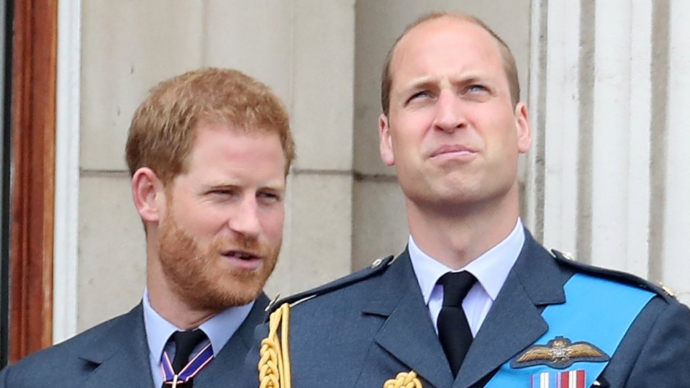 Prince Harry, Prince William