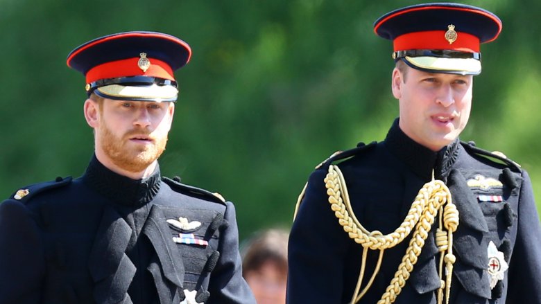 Prince Harry and Prince William