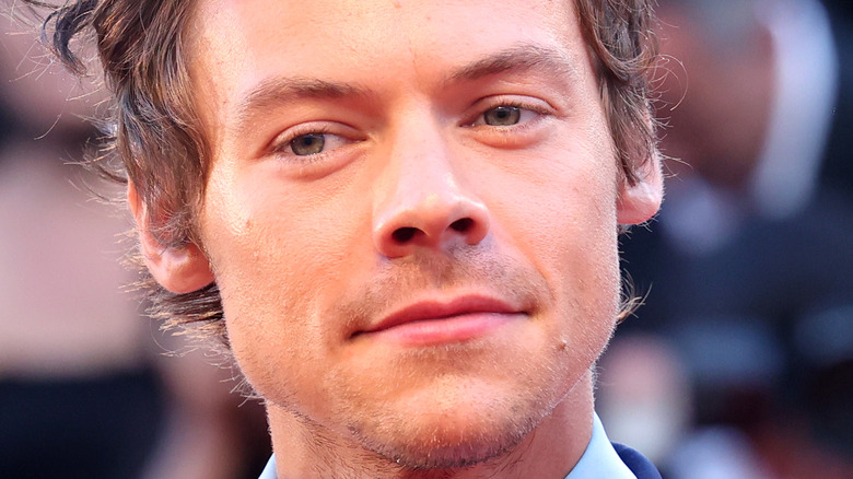 Harry Styles poses for cameras