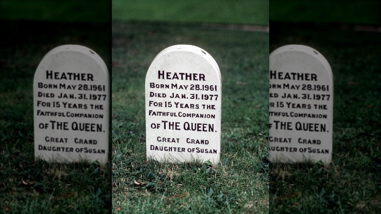 Corgi gravestone 