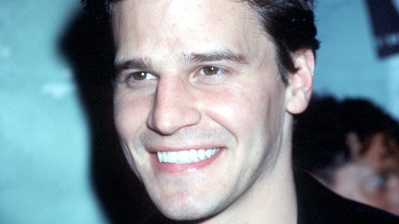 Young David Boreanaz smiling 