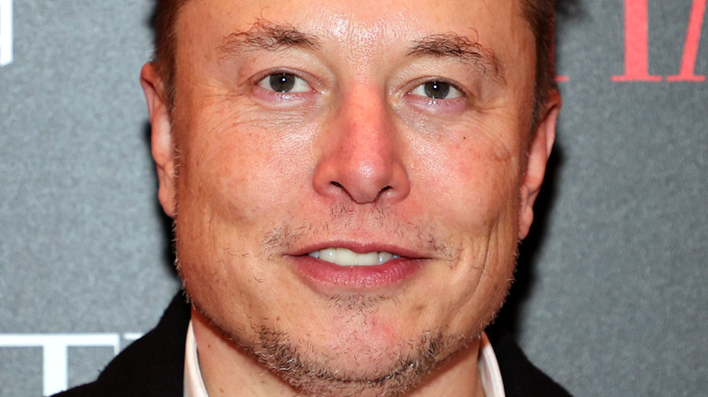 Elon Musk with a slight smile