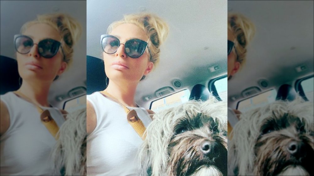 Kate Chastain with dog Halo