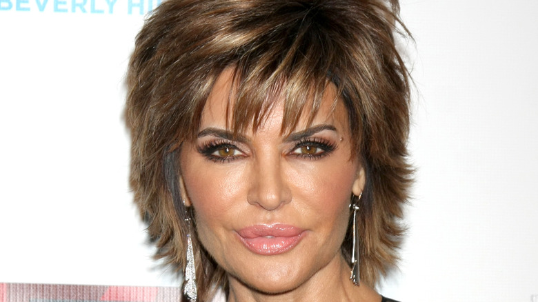 Discovernet The Untold Truth Of Lisa Rinna