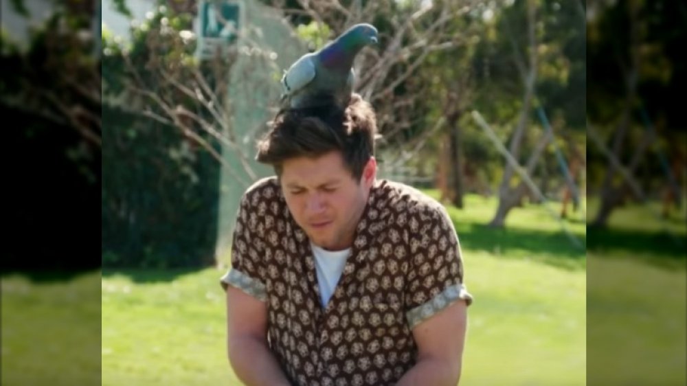 Niall Horan