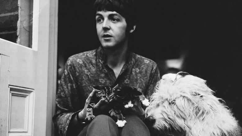 Paul McCartney with his dog Martha and two cats