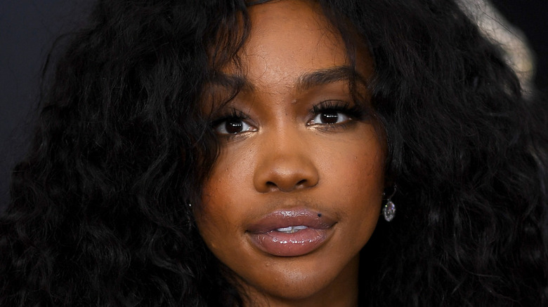 SZA Models Underwear for Skims' Fits Everybody Campaign