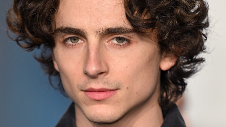 Timoth e Chalamet Barney Rowland