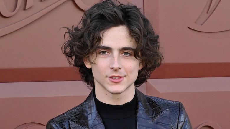 Timothée Chalamet smiling