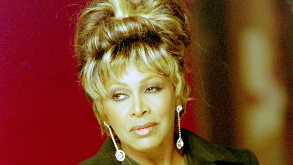 Tina Turner in 1990s photo shoot