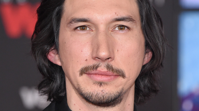 Adam Driver posing 