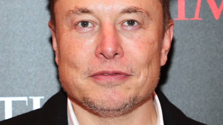 Elon Musk posing