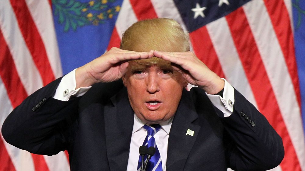 Donald Trump at a 2015 campaign rally