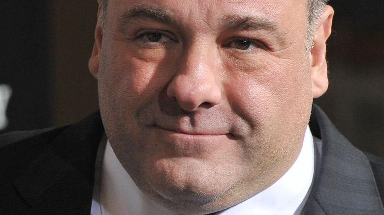 James Gandolfini at a movie premiere