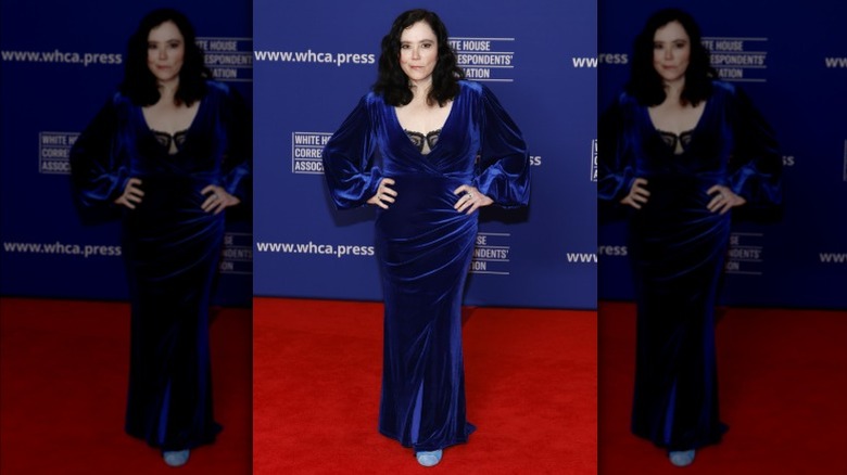Alex Borstein wearing a blue velvet dress at the White House Correspondents' Dinner
